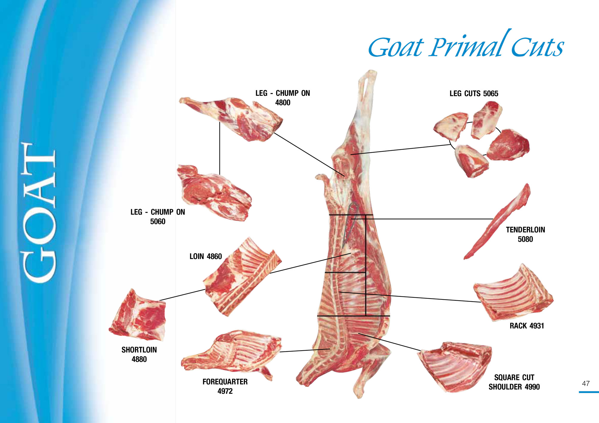 Goat Meat Cuts Chart